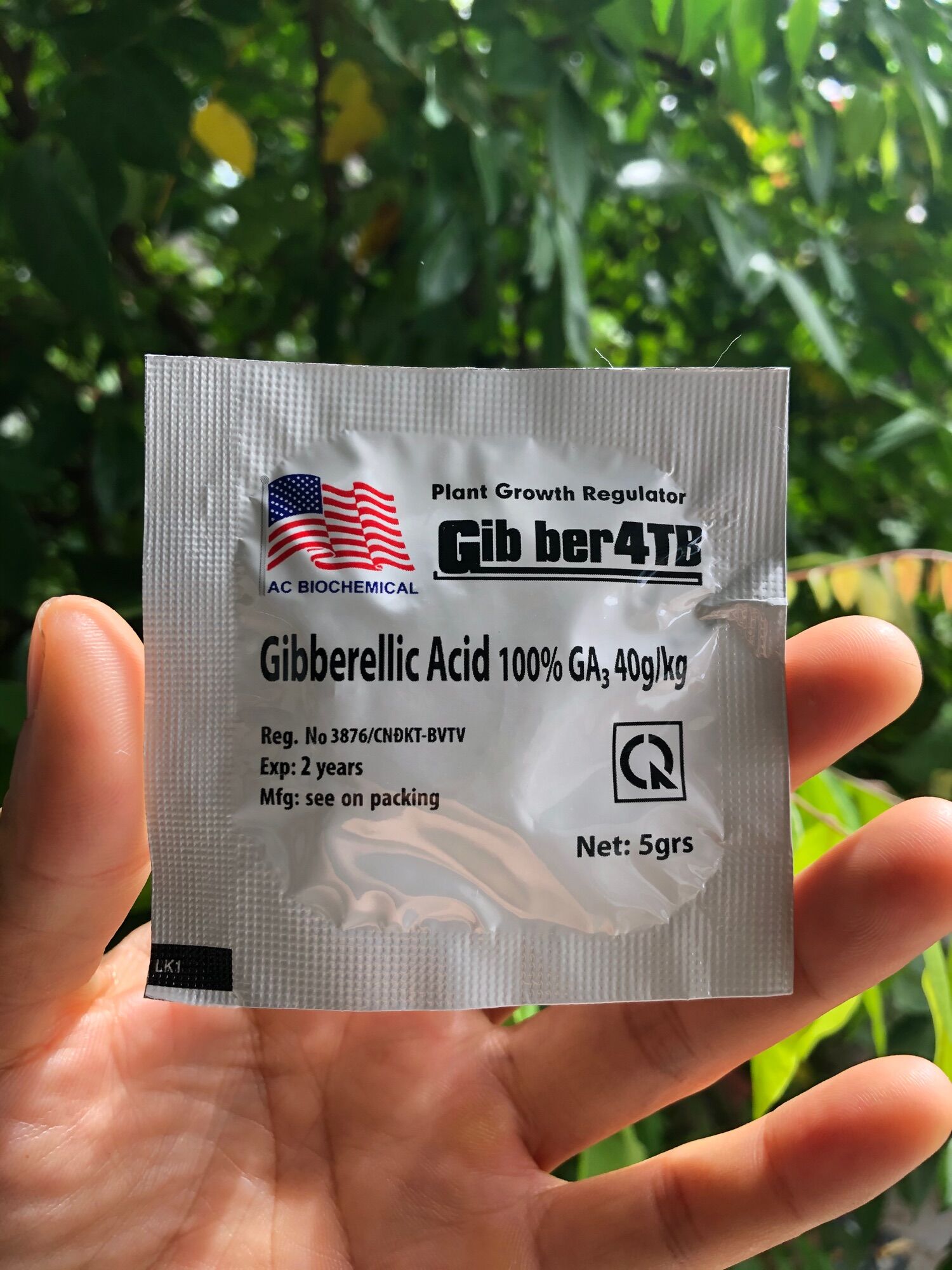 GA3 Mỹ