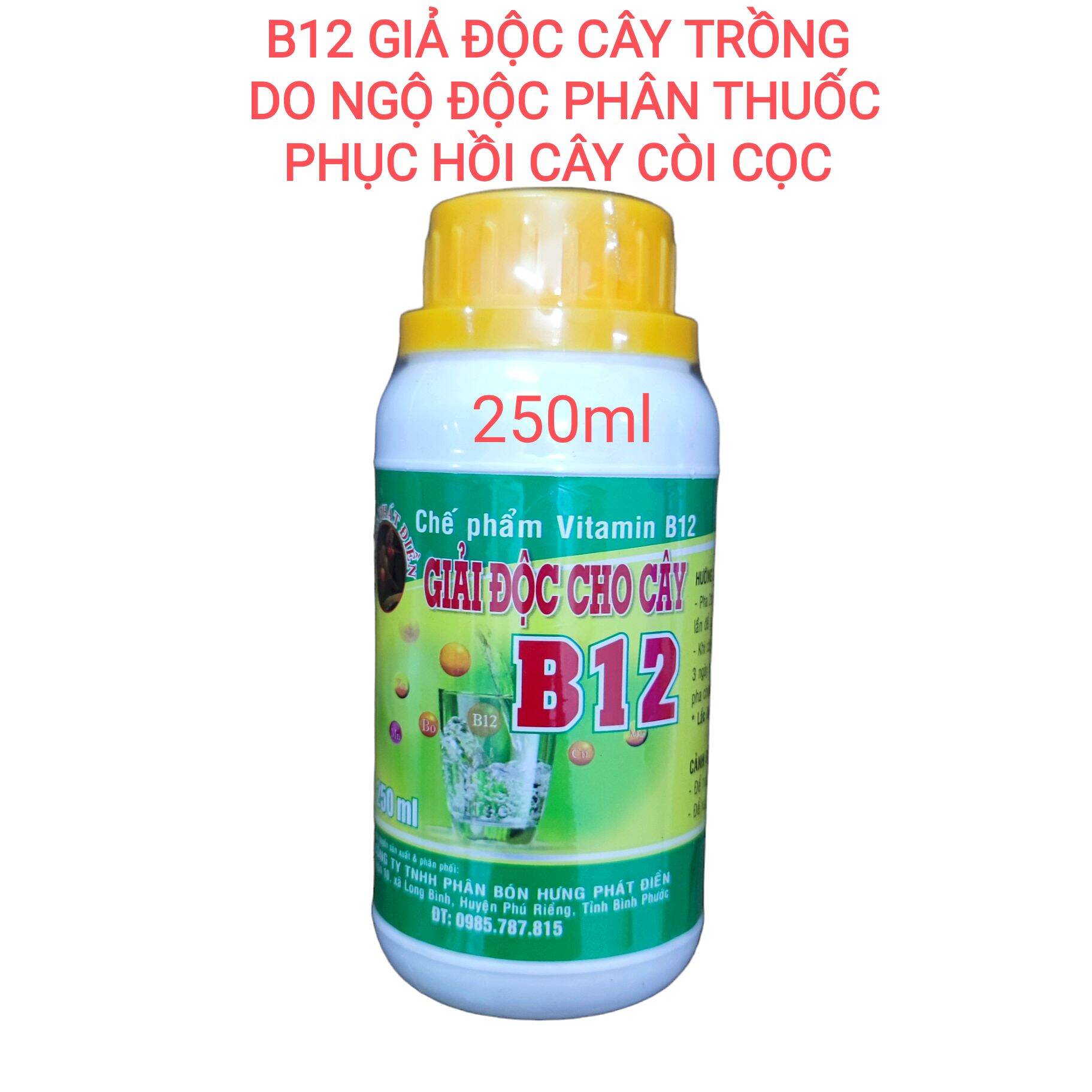 CHẾ PHẨM VITAMIN B12 GIẢI ĐỘC CÂY LAN, Cây trồng