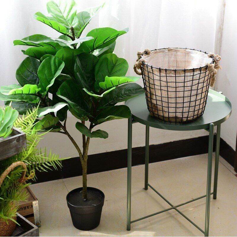 Cây bàng singapo giả cảnh Cao 1met.lá dày, đẹp. trang trí nhà cửa.