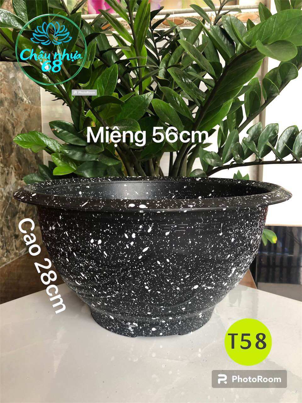 Chậu nhựa trồng cây t58 vân đá đen