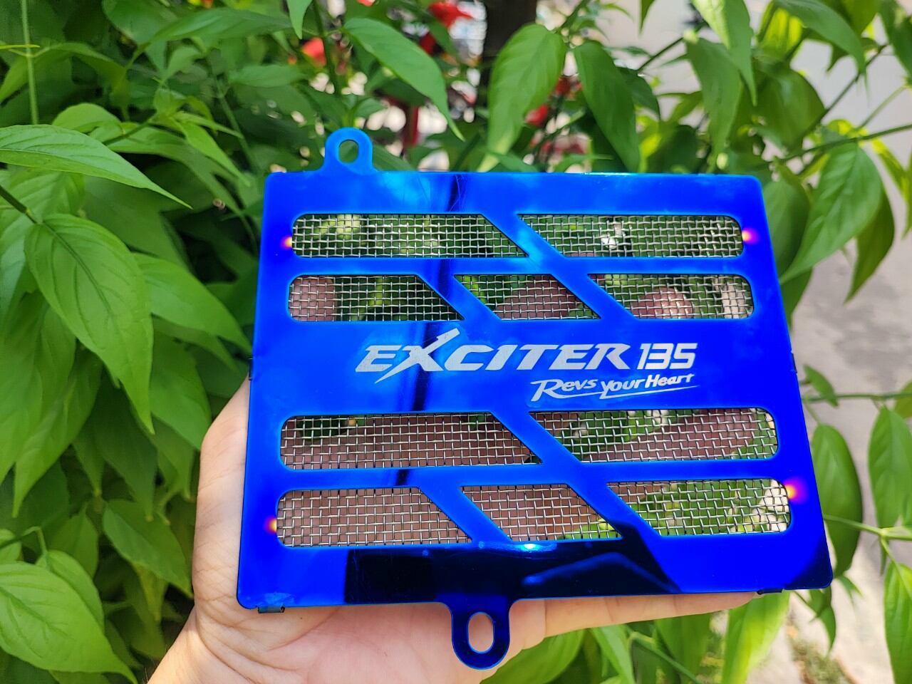 Két nước ex135