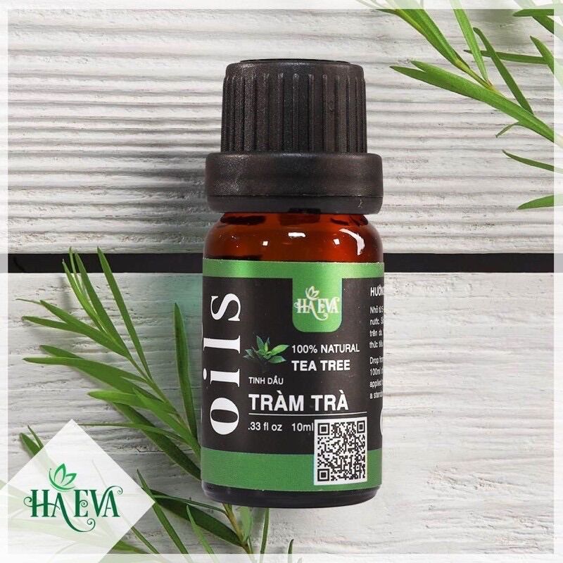 [HCM]Tinh dầu Tràm Trà Haeva 10ml 30ml 100ml