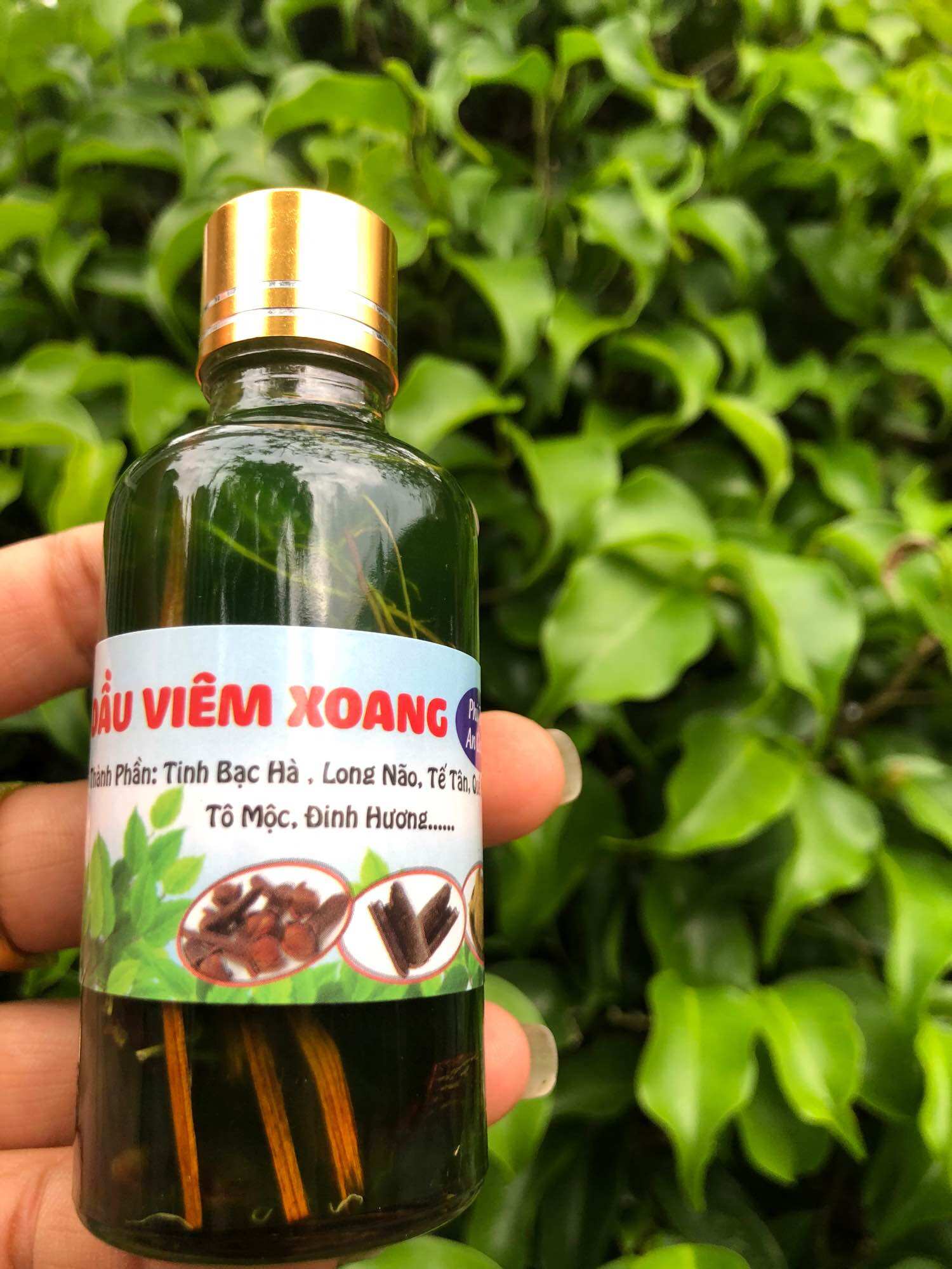 Dầu viêm xoang xanh 50ml
