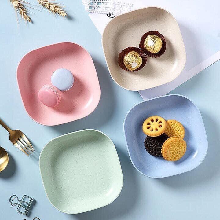 Set 8 đĩa lúa mạch màu pastel siêu xinh