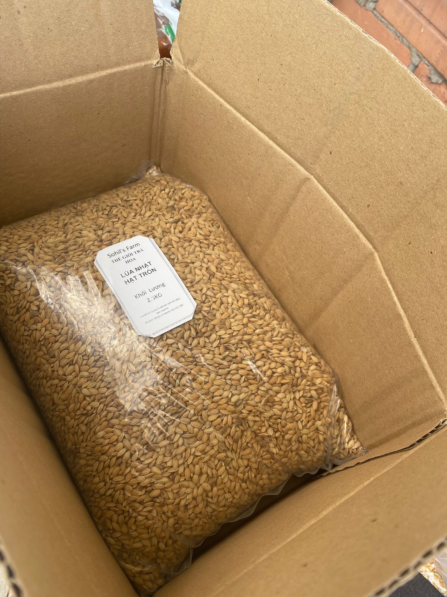 1kg Lúa Nhật Hạt Tròn cho gà đá, cu gáy