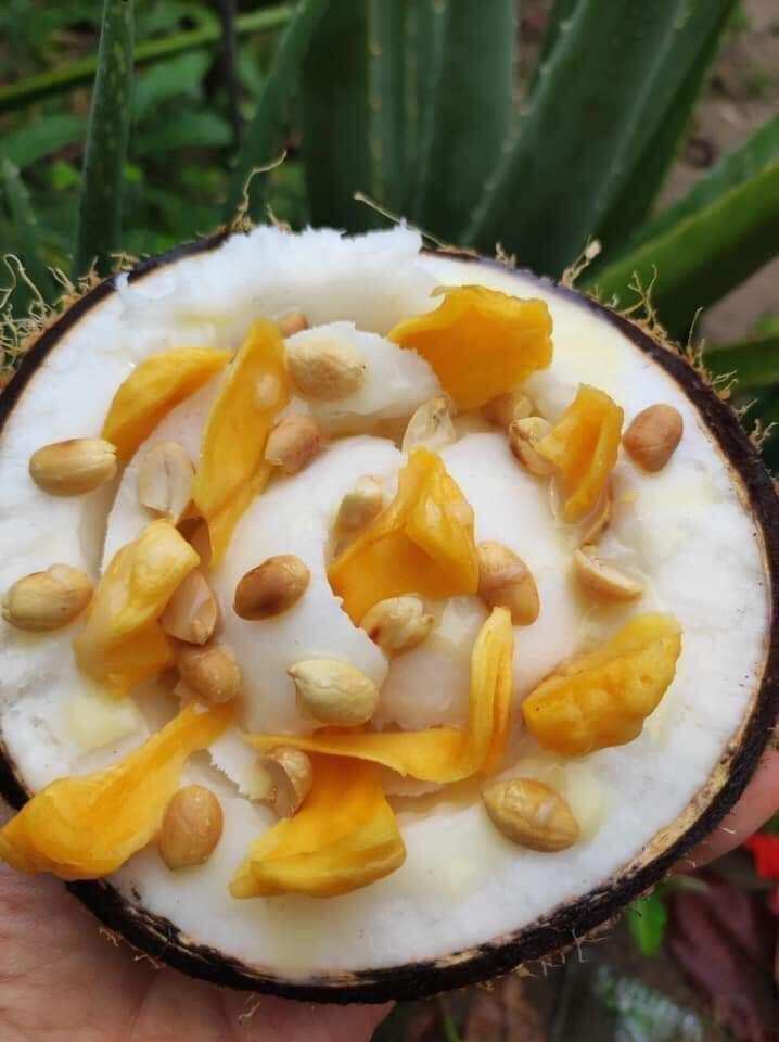 DỪA SÁP LOẠI 3 , SÁP DẠNG LỎNG , CƠM DẺO