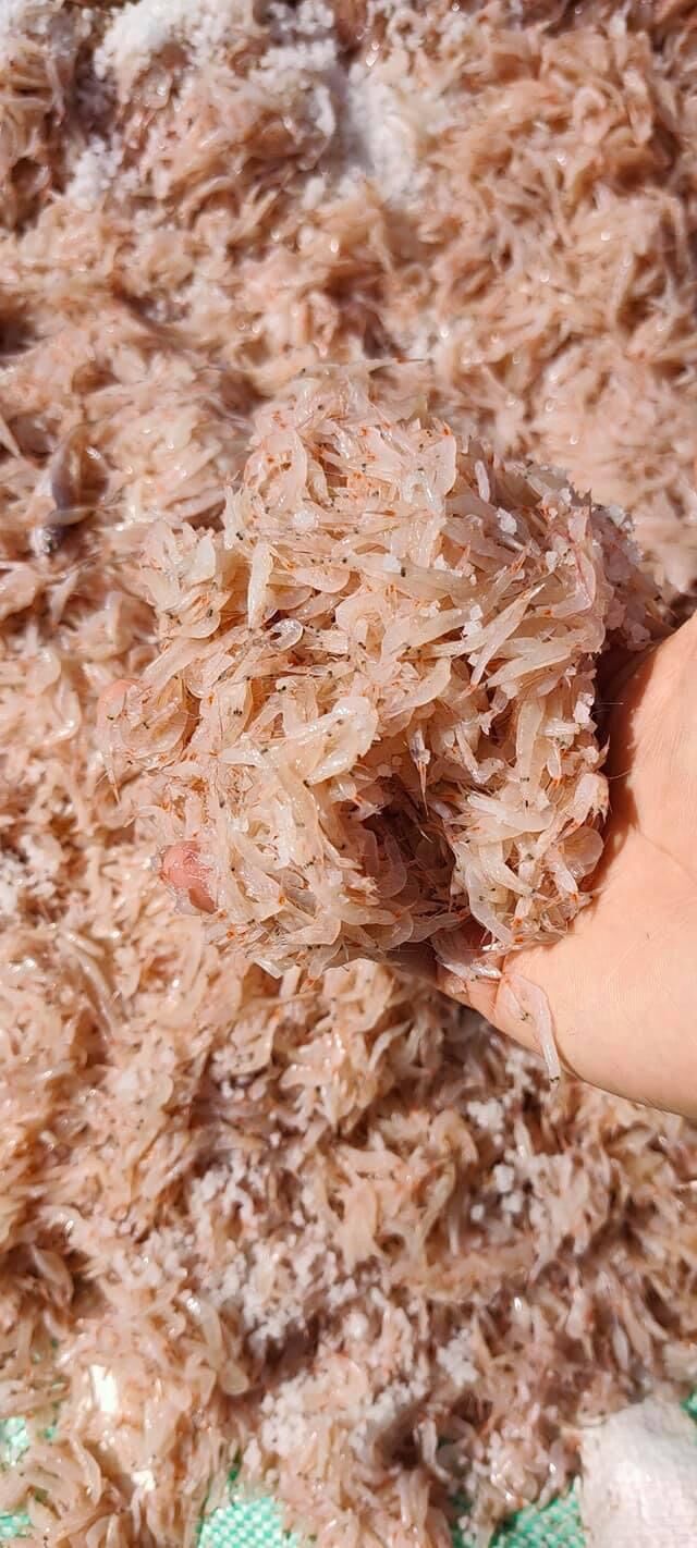 5kg mắm tôm đặc biệt Ba Làng Thanh Hoá