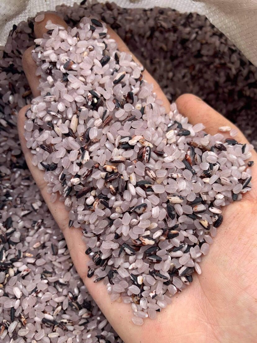 Gạo nương mèo - Đặc sản Tây Bắc