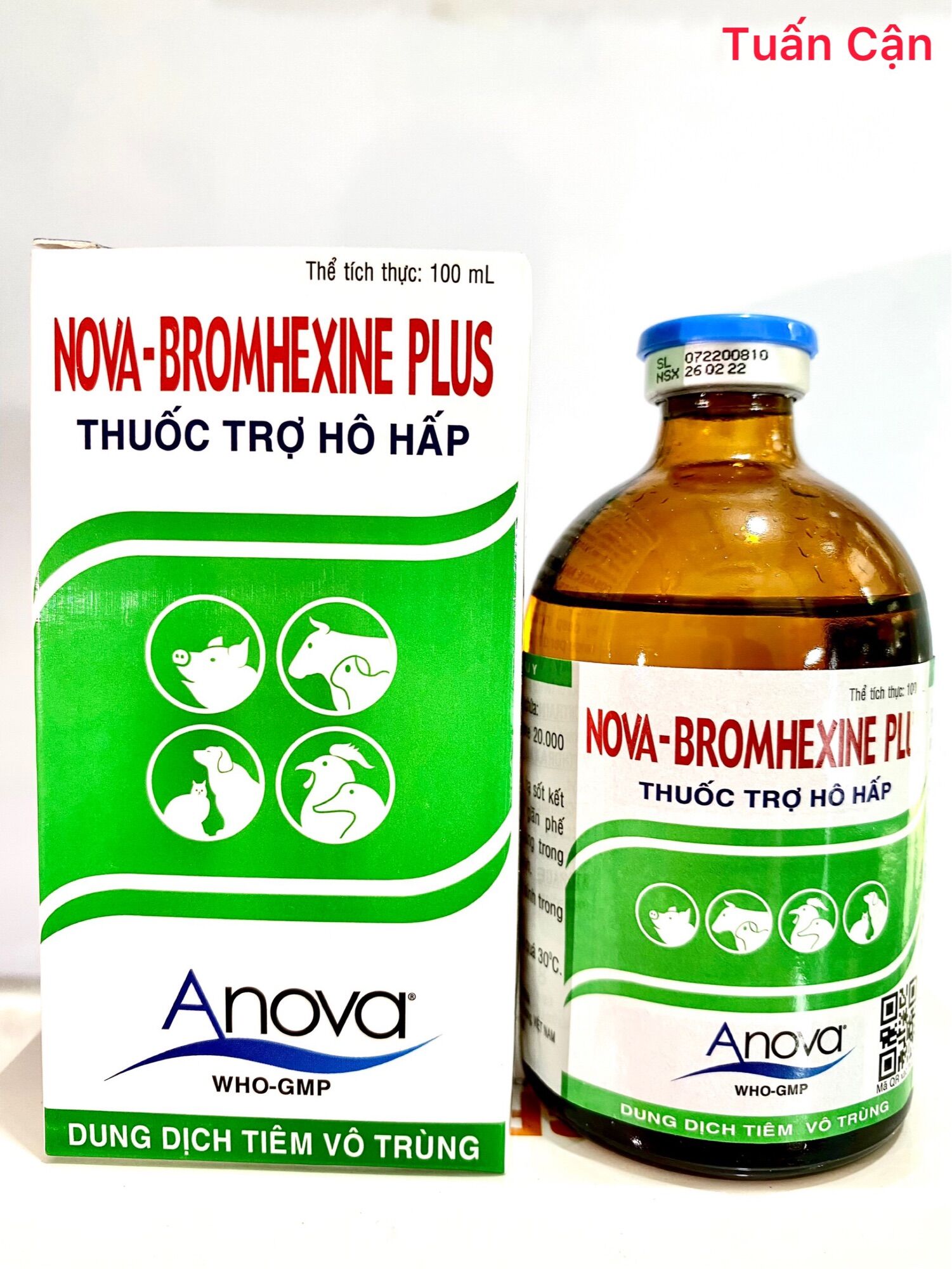 Bromhenxin Plus(100ml) Long đờm, hạ sốt, kháng viêm.