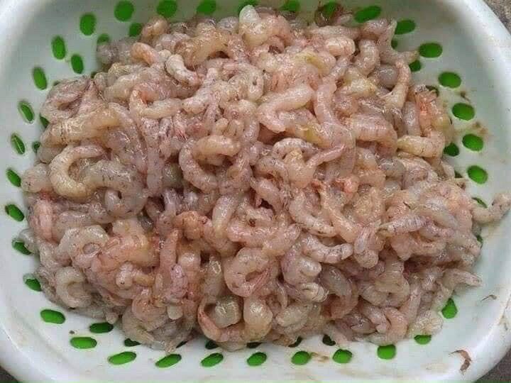 Khay 0,5kg Ba rọi heo cắt lát (giao liền)