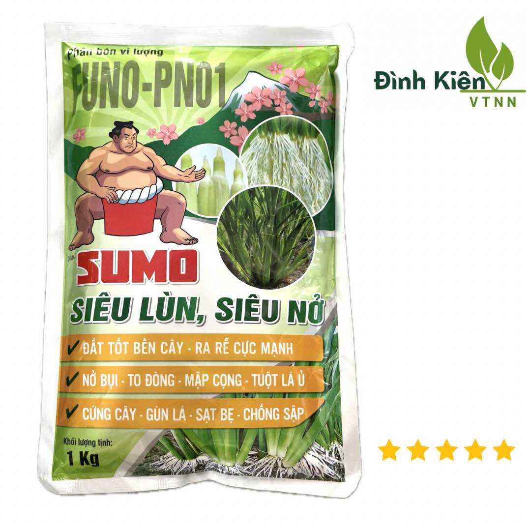  SUMO SIÊU LÙN SIÊU NỞ  1kg . Đất tốt ra rễ nở bụi to đòng mập cọng cứng cây chống sập. 