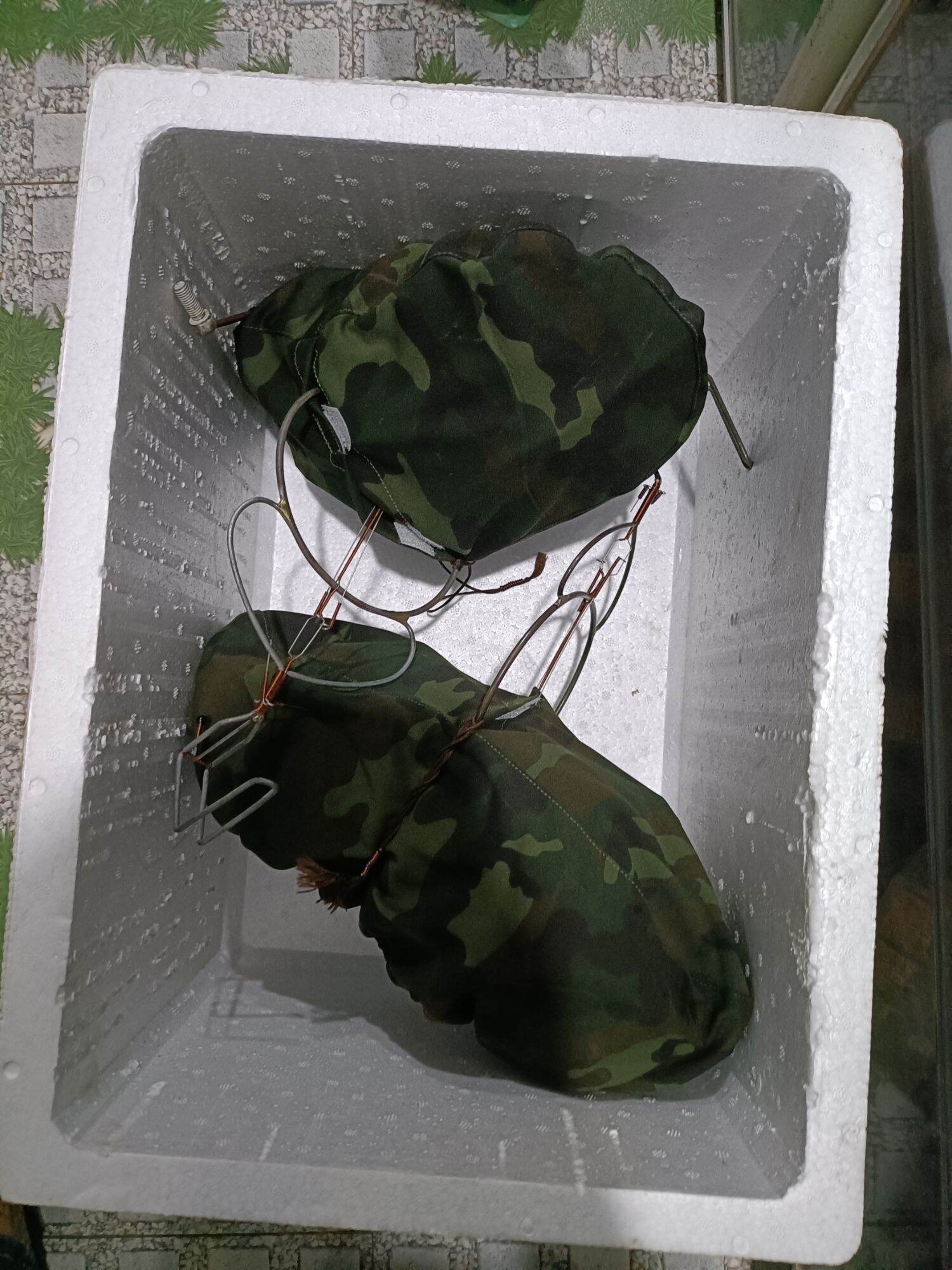 Áo Lụp Chim sâu đầu đỏ (7+)