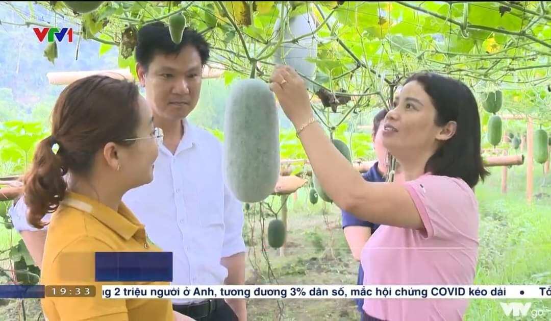 bí phấn thơm đặc sản Bắc KẠn