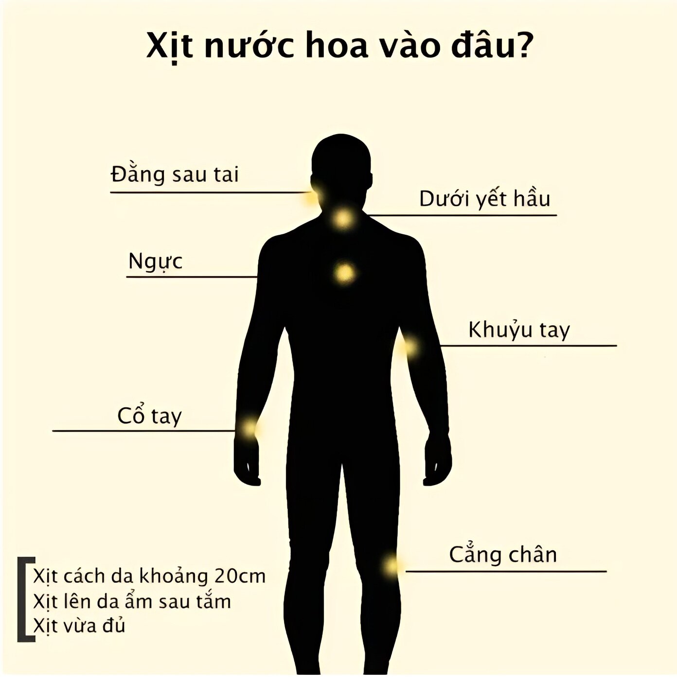combo x 2 nước hoa Boss 35ml dùng cho cả nam và nữ