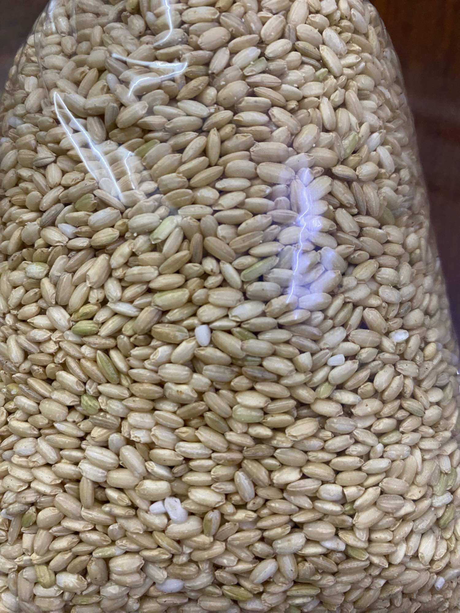 NẾP LỨT BẮC(1KG)