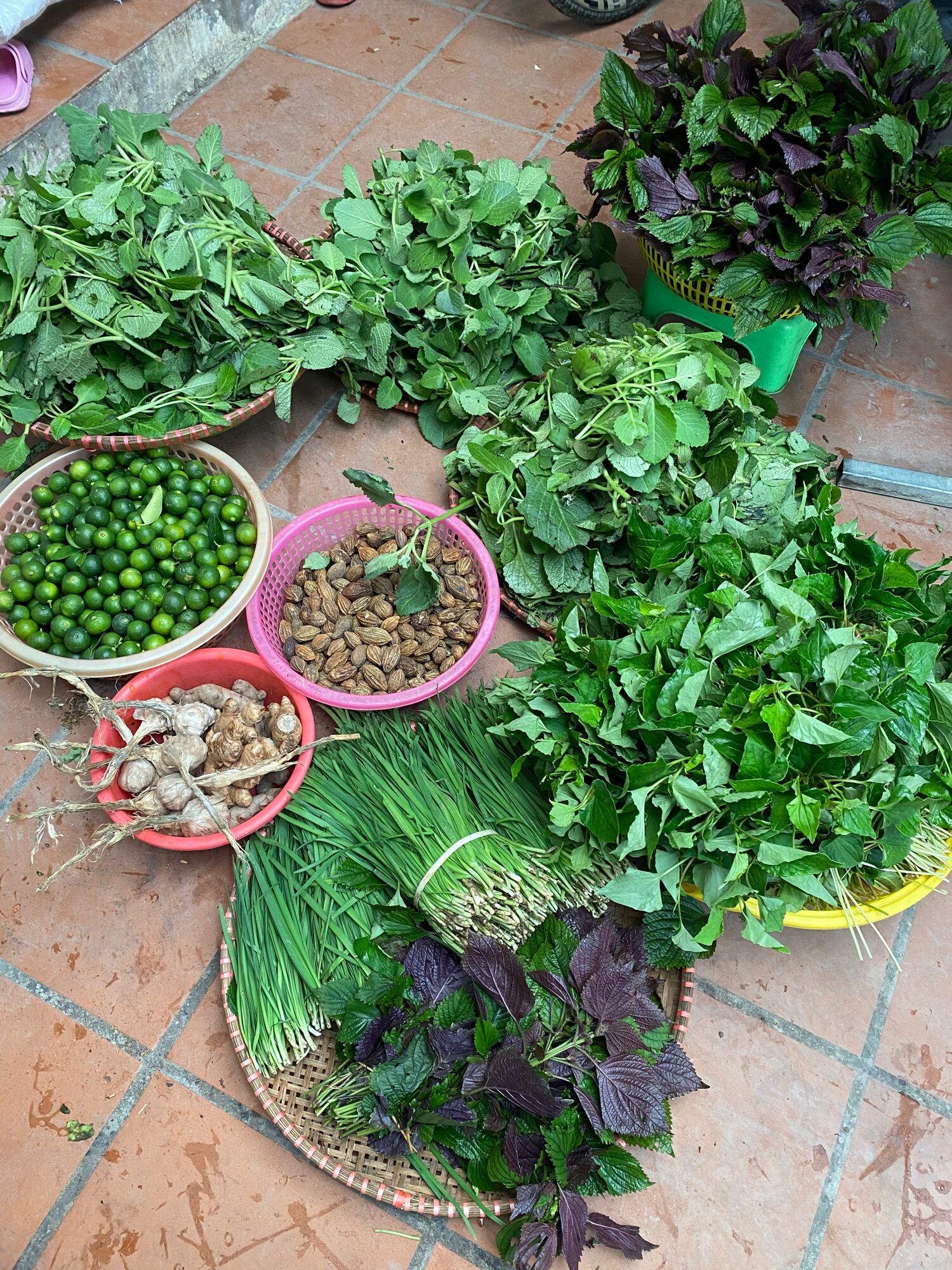 Siro Ho Húng chanh