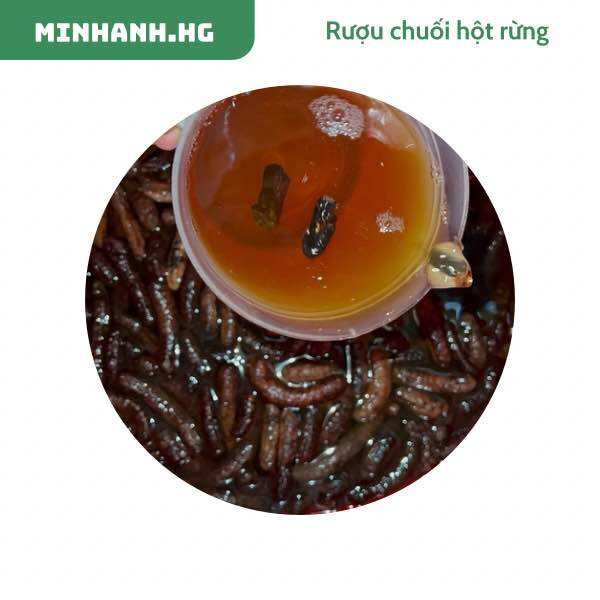 R chuối hột rừng chai 1L có tác dụng tốt cho tiêu hoá giúp giảm đau xương khớp ngâm đủ 1 năm cốt 1 không pha