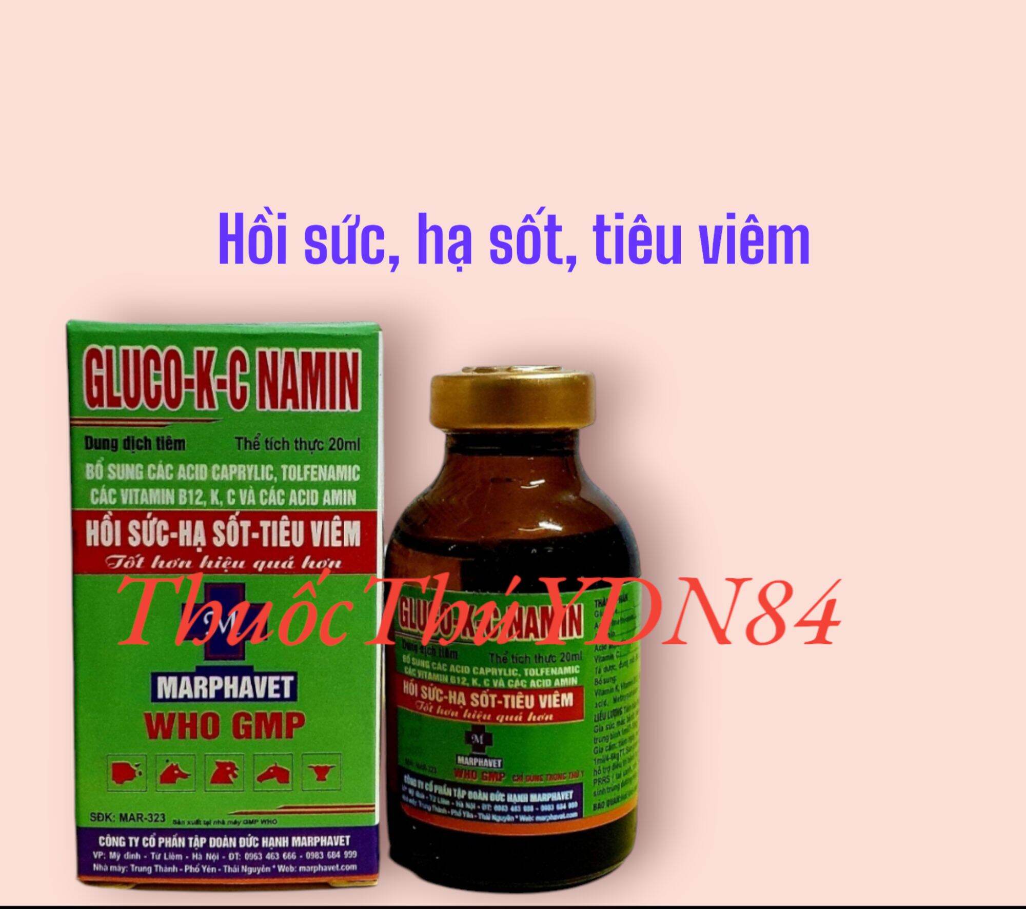 GLUCO KC NAMIN 20ml hồi sức hạ sốt tiêu viêm