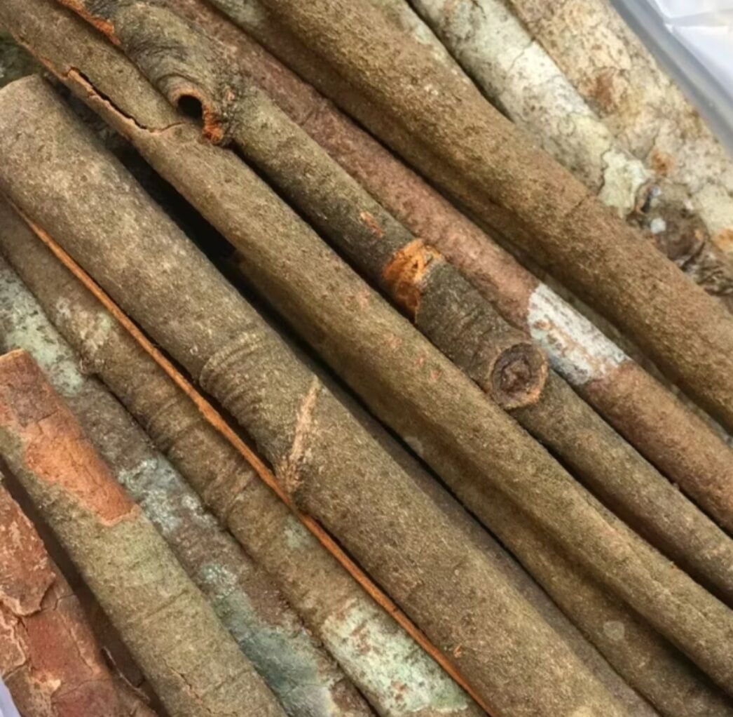 100 Gram Quế Vụn, thơm sạch, quế làm trà, quế xông nhà