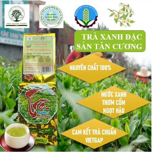 Trà móc câu thượng hạng tân cương thái nguyên-trà nghìn hạnh-trà xanh-trà tôm nõn-trà đinh