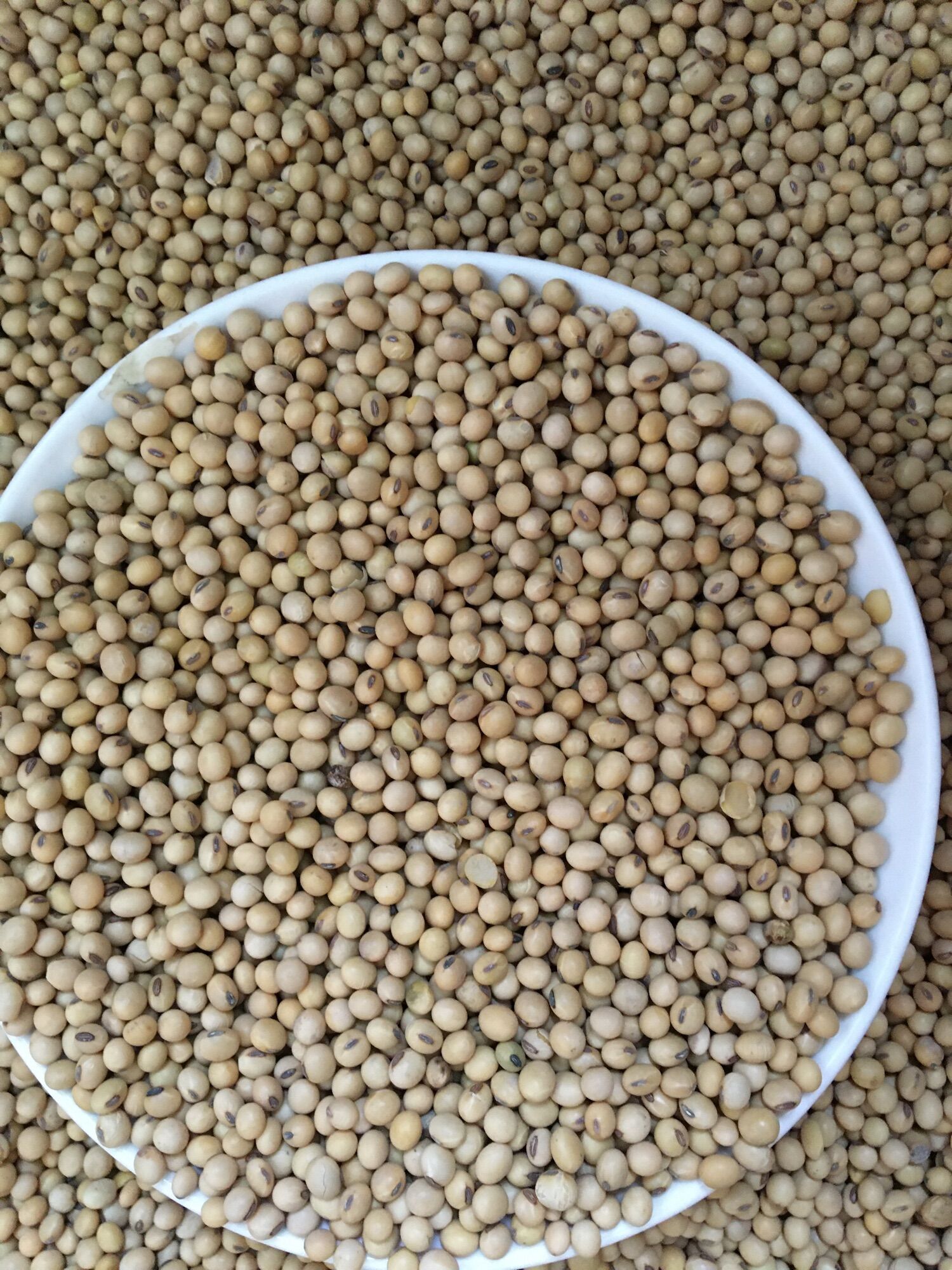 đậu nành , đỗ nành đà lạt 1kg giá rẻ