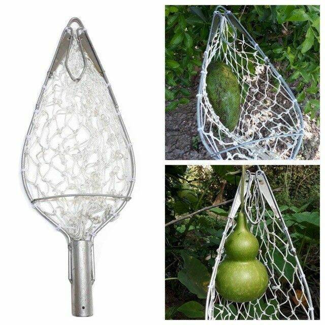 vợt trái cây cán tròn