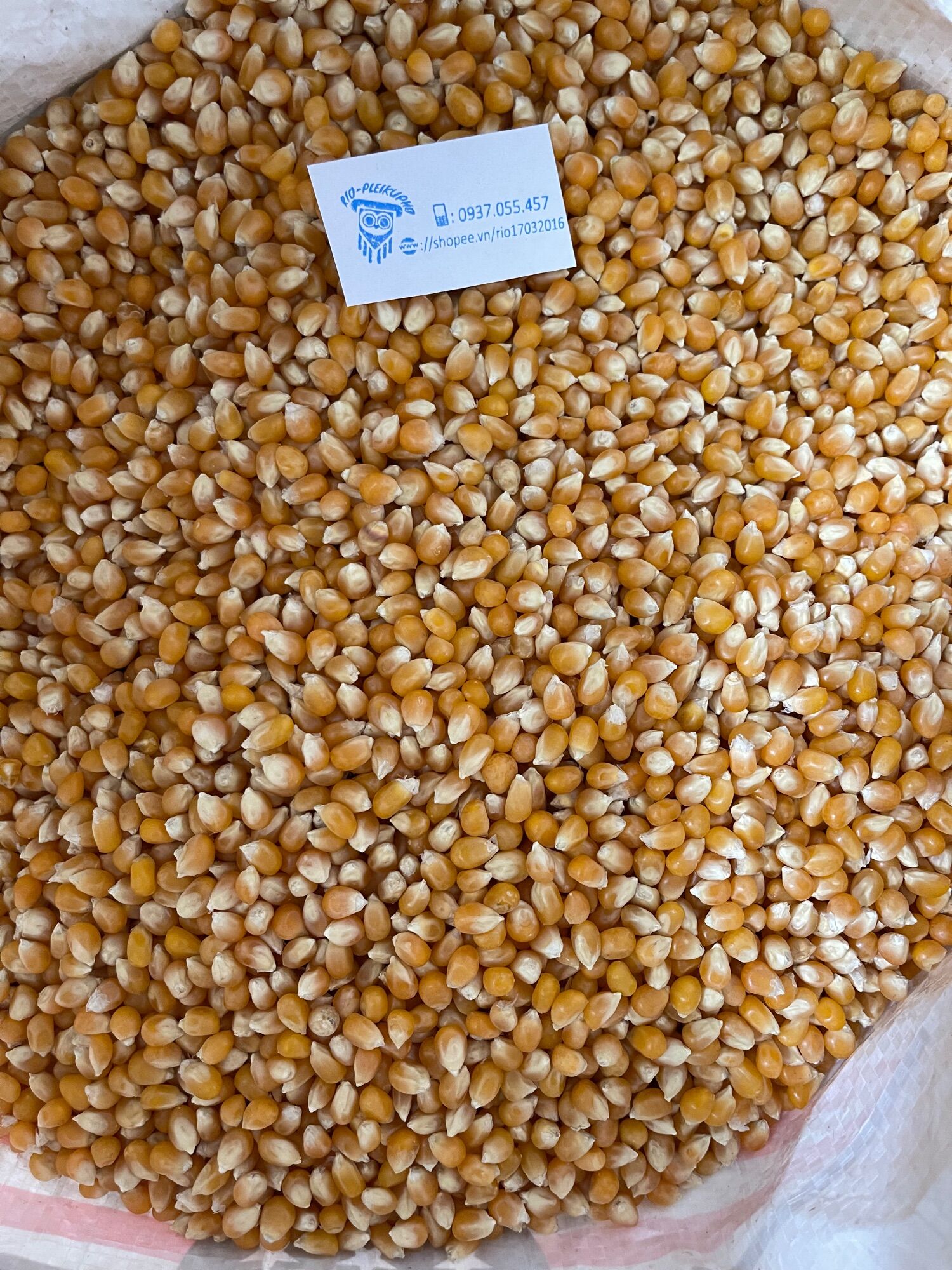 500gr bắp hạt làm bắp rang bơ