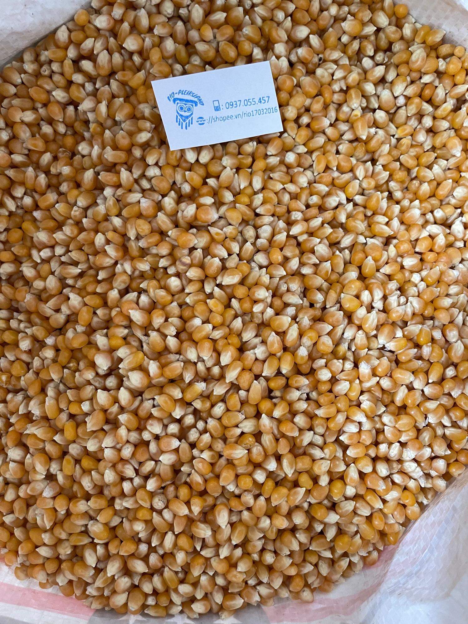 500gr bắp hạt làm bắp rang bơ