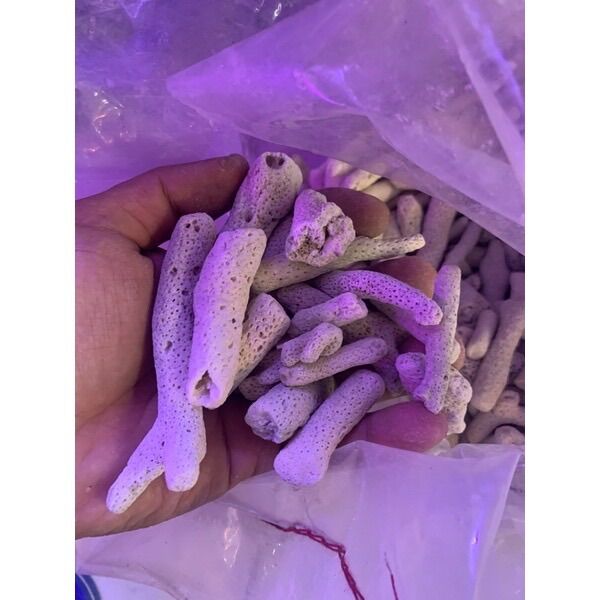 San hô vụn 1kg