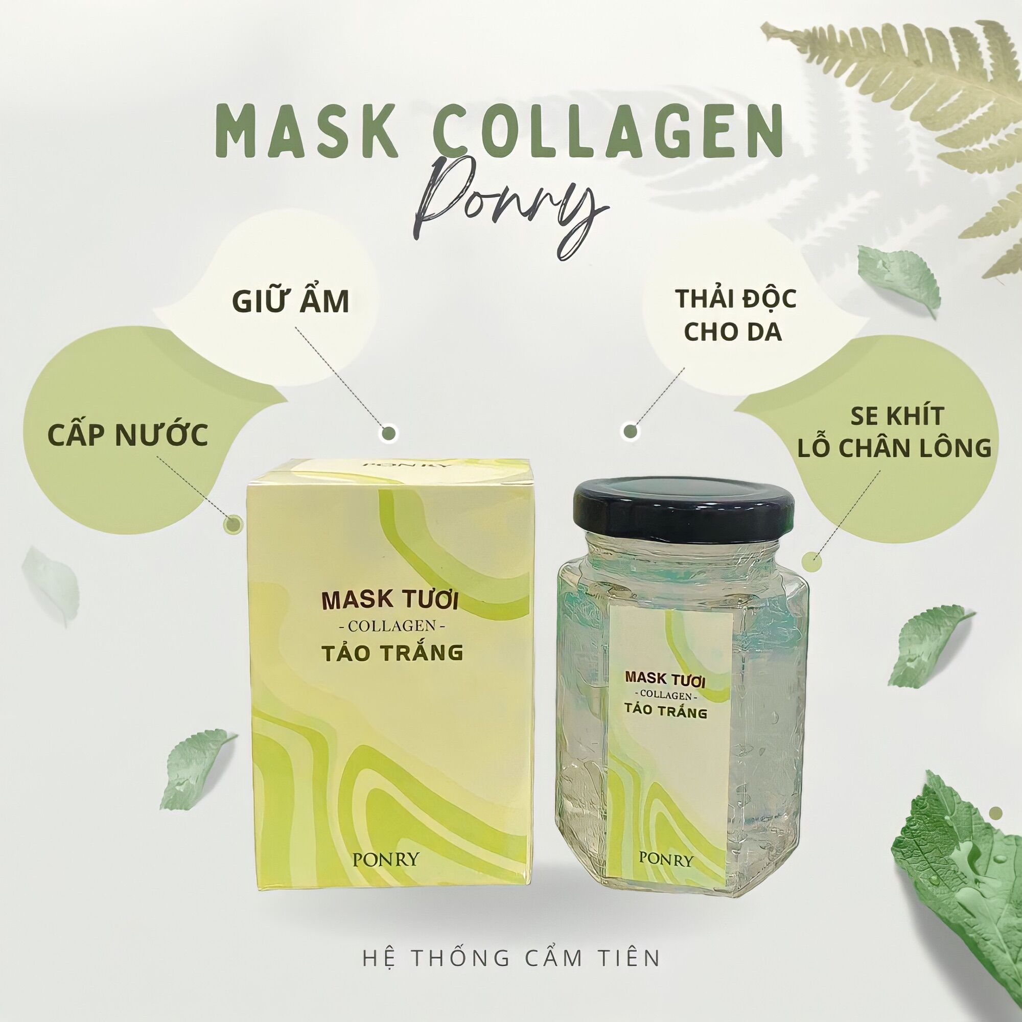 MASK YẾN TƯƠI COLLAGEN SỢI TẢO