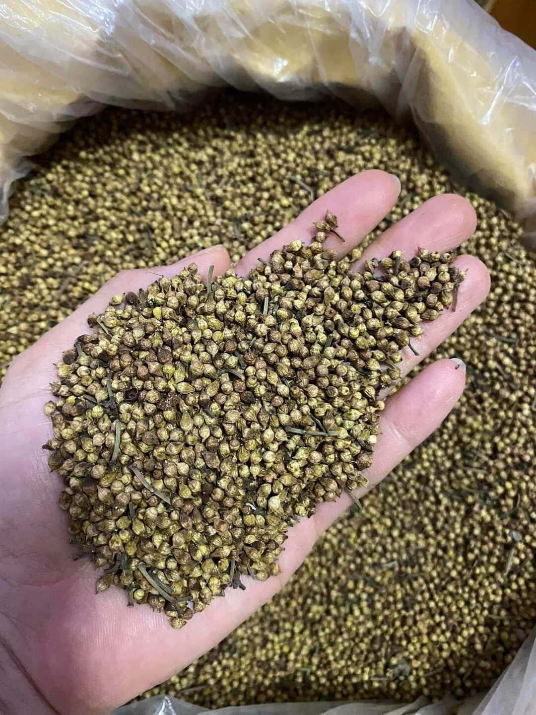 Nụ vối khô 1kg