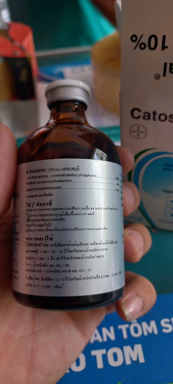 Catosal  date 2025bồi bổ sức khỏe thú cưng. Catosal 100ml