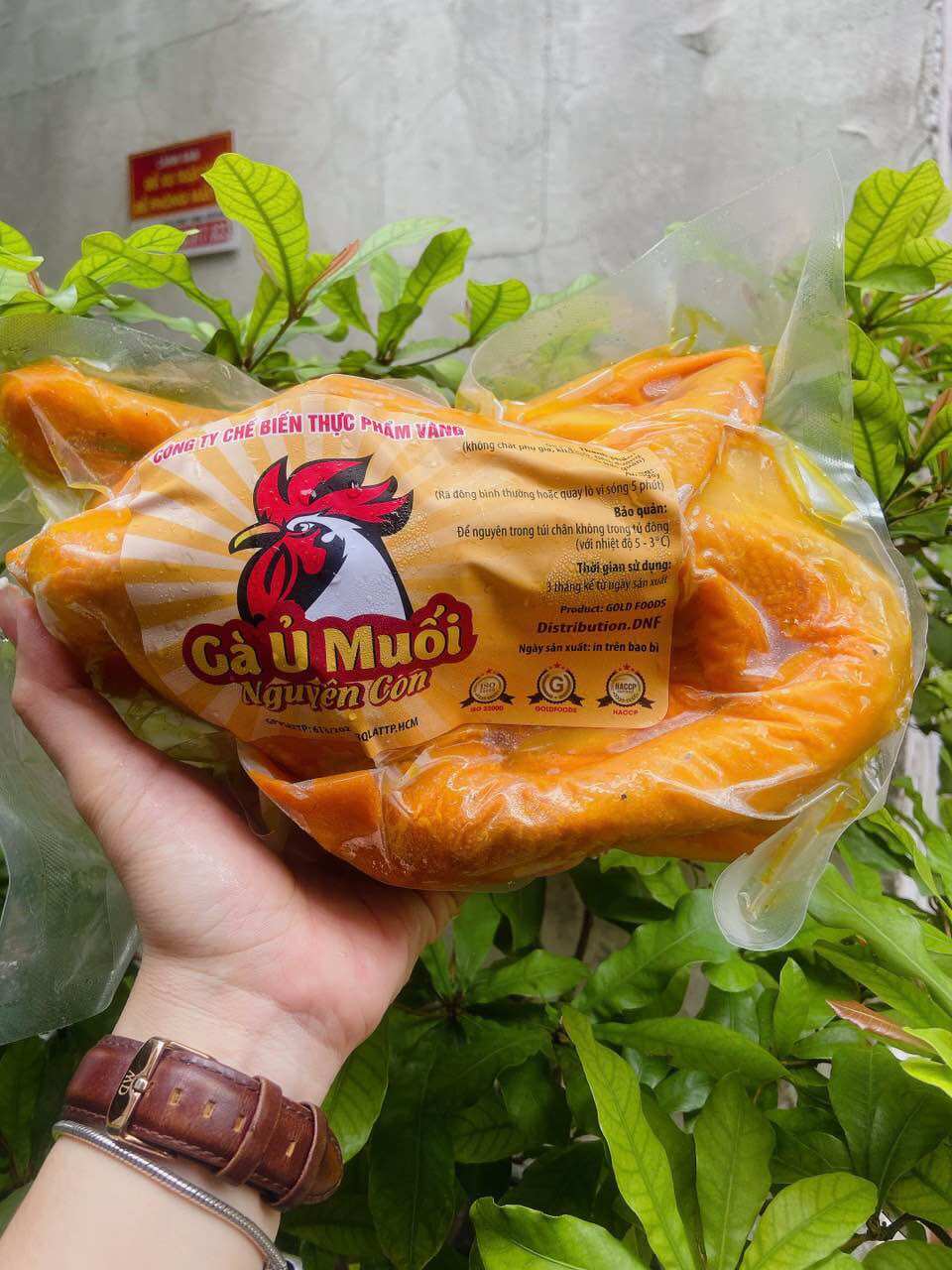 1 con gà ủ muối thái nguyên - giao liền