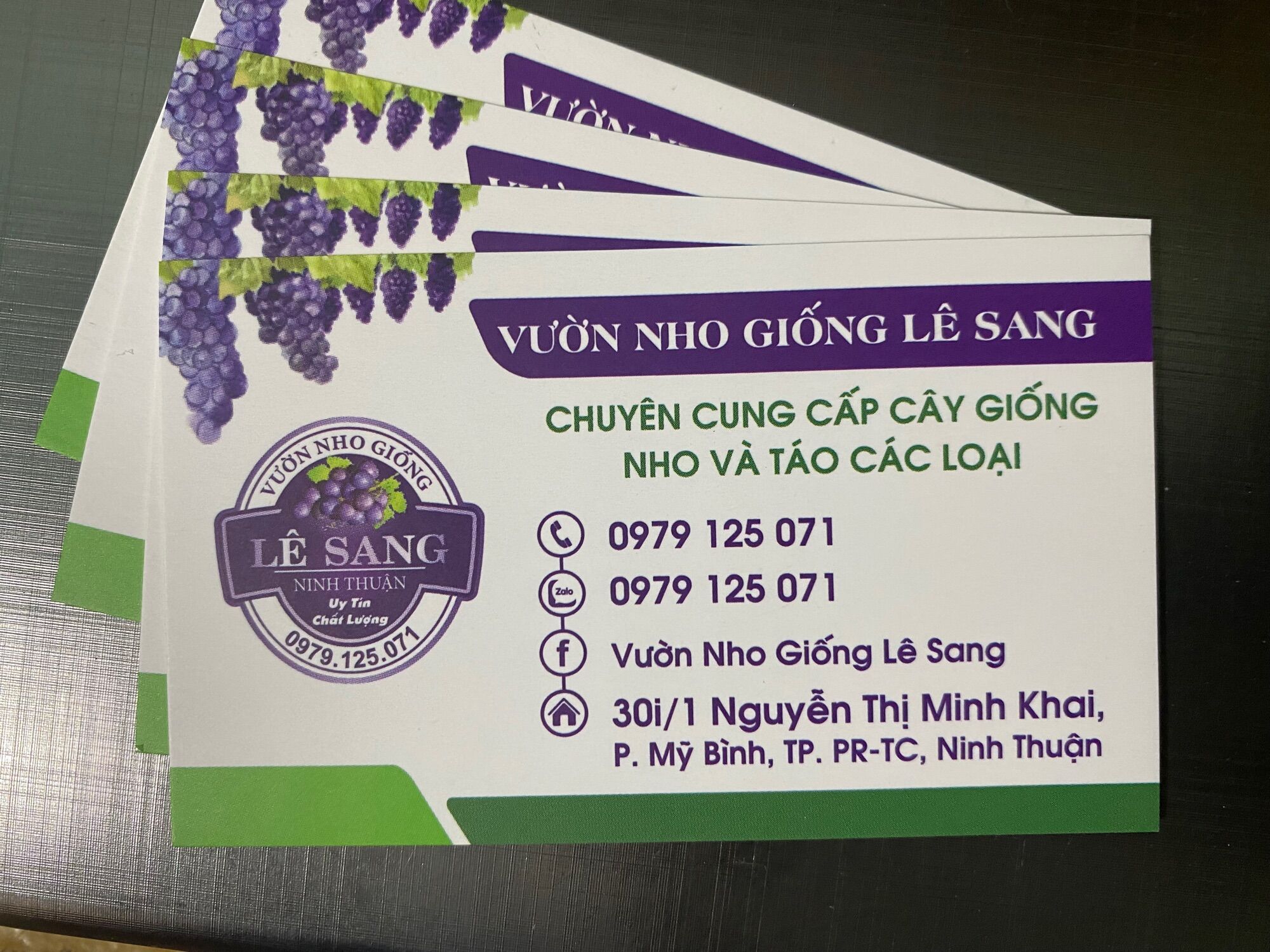 Cây Nho Ngón Tay Đen Không Hạt