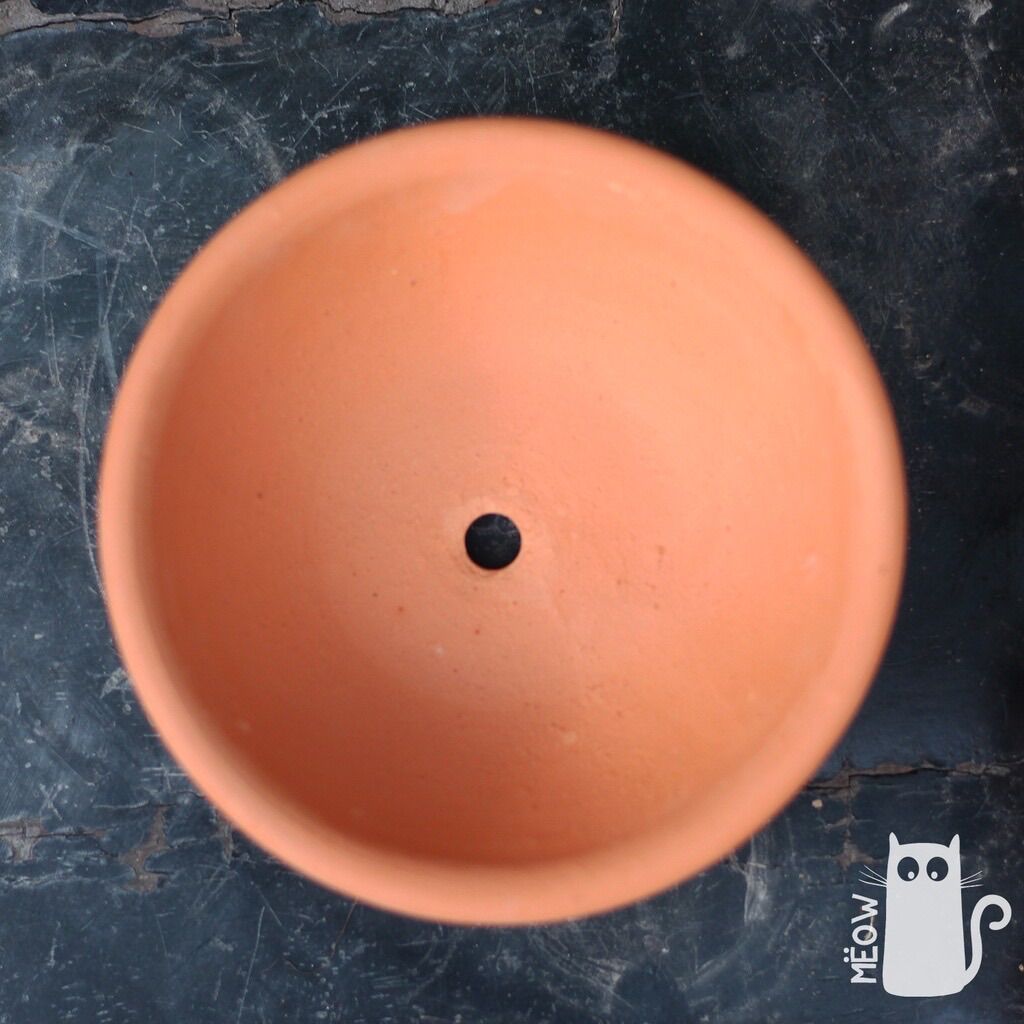 COMBO 5 chậu đất nung Chảo lớn 17x6cm