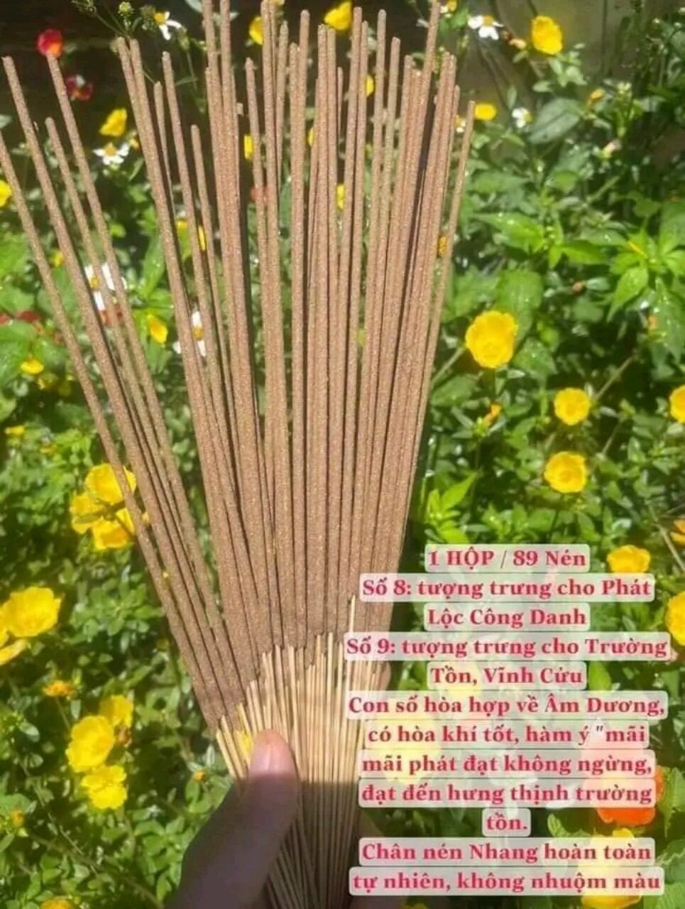 Nhang TuệTâm, nhang sạch phong thủy 114 nén (tụ Lộc Hương, mẫu mới)