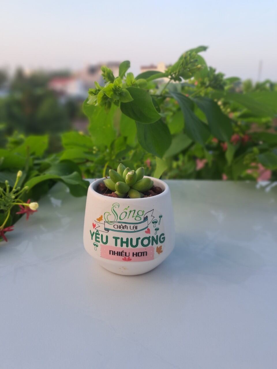 Cà phê bột nguyên chất Robusta pha phin RO-2 (500gr)