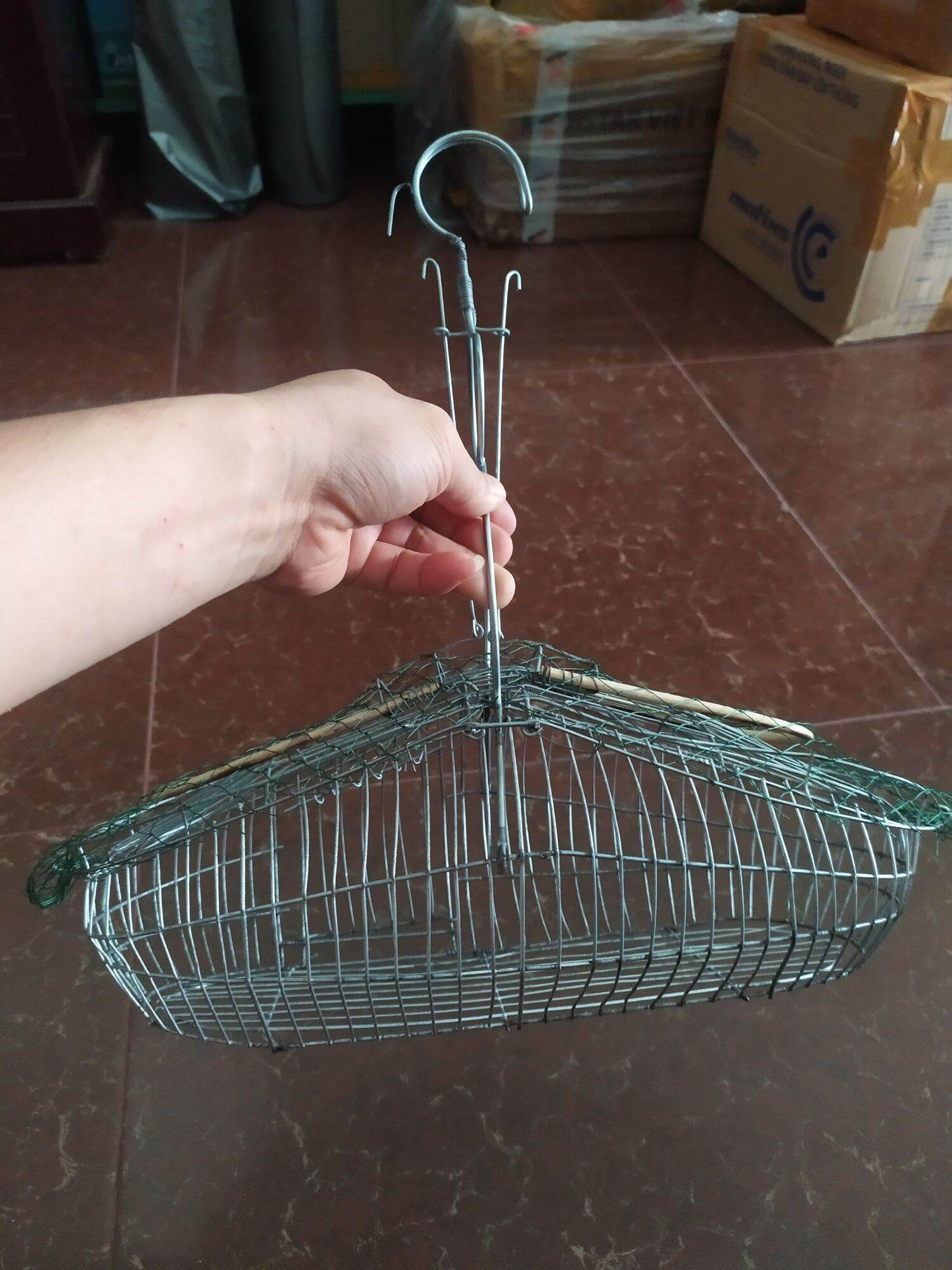 Bẫy lụp vành khuyên ốc mít hút mật yến phụng