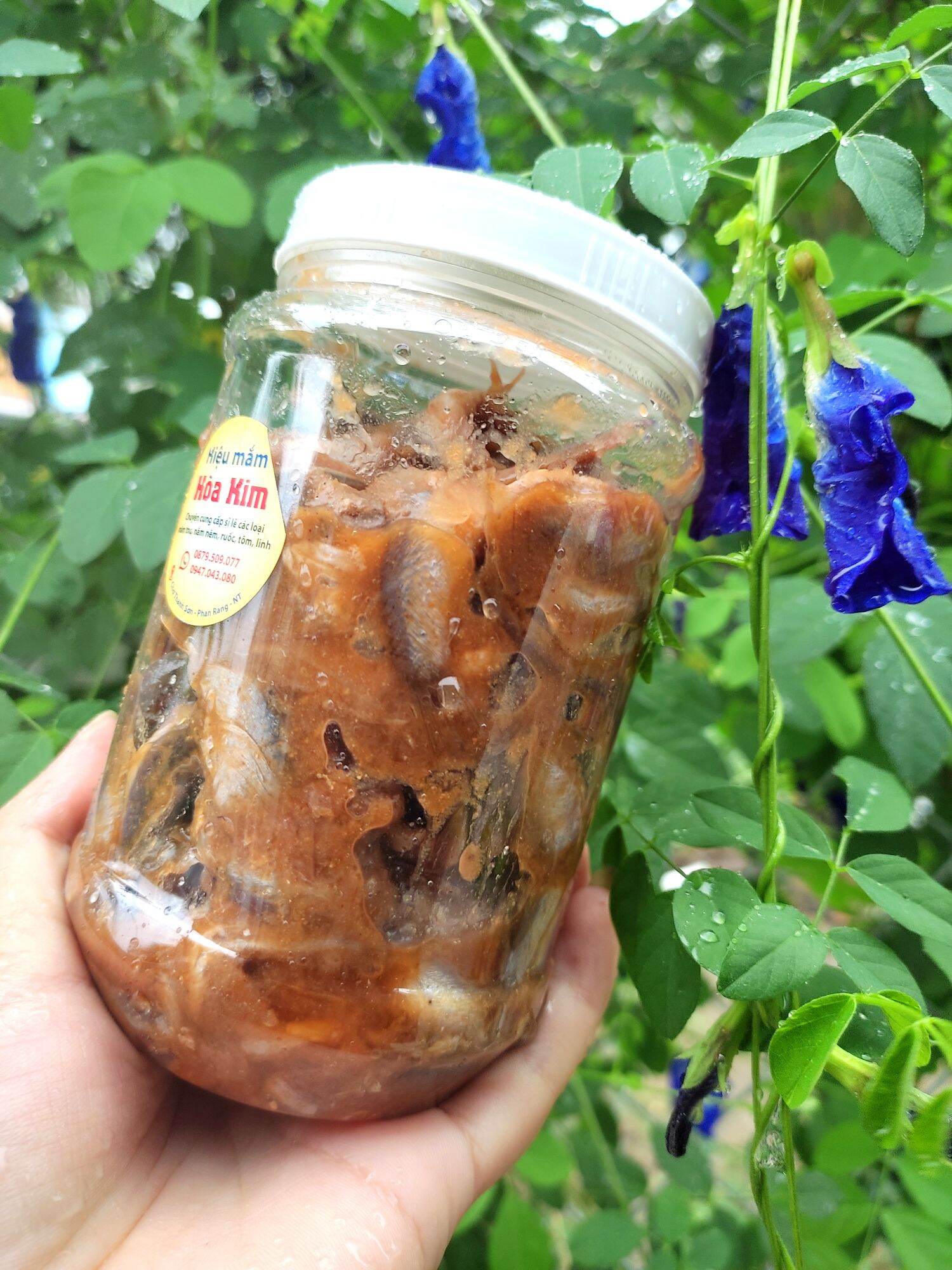 Mắm cá linh 500g - Hoà Kim Phan Rang