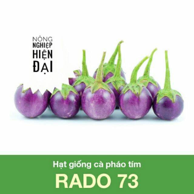 Hạt giống cà pháo tím
