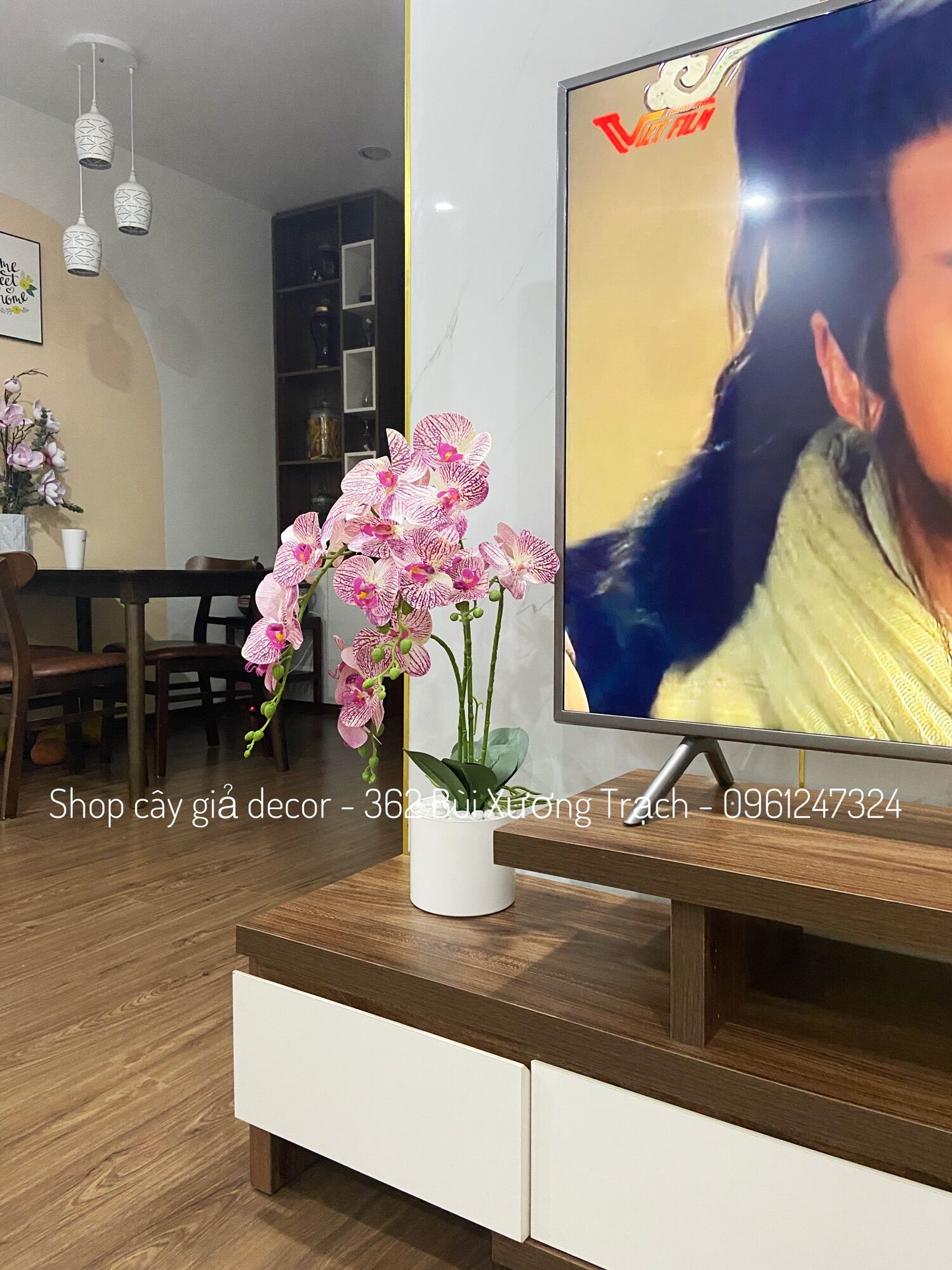 Combo hoa lan cao su + chậu + sỏi y hình - hoa lụa decor