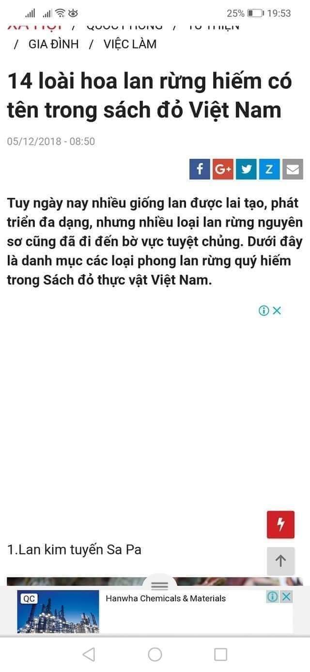 Combo 3 Lan Bạch Hỏa Hoàng