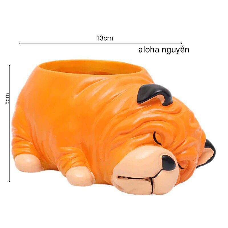 [HCM]chậu cún bug ngủ mua 1 tặng kèm 1 sen đá.