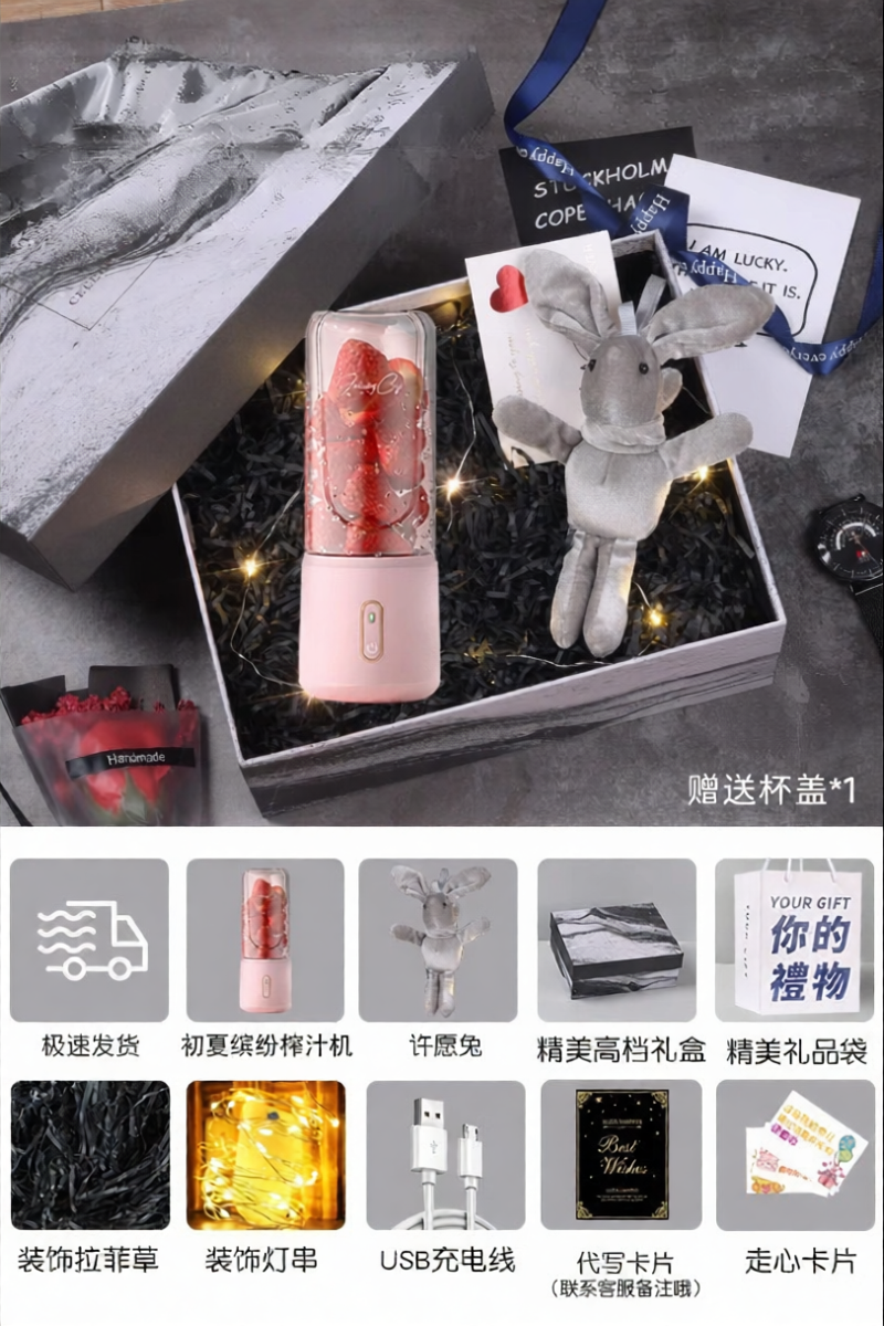High-End Practical Rare Gift Juice Maker - 8