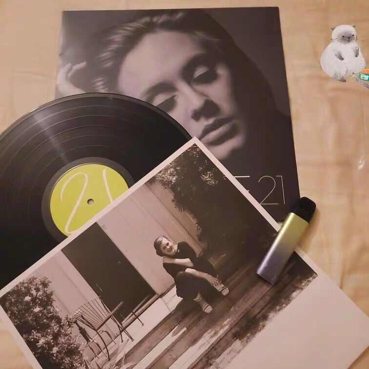 Đĩa nhạc than Adele 21 kinh điển 12 inch