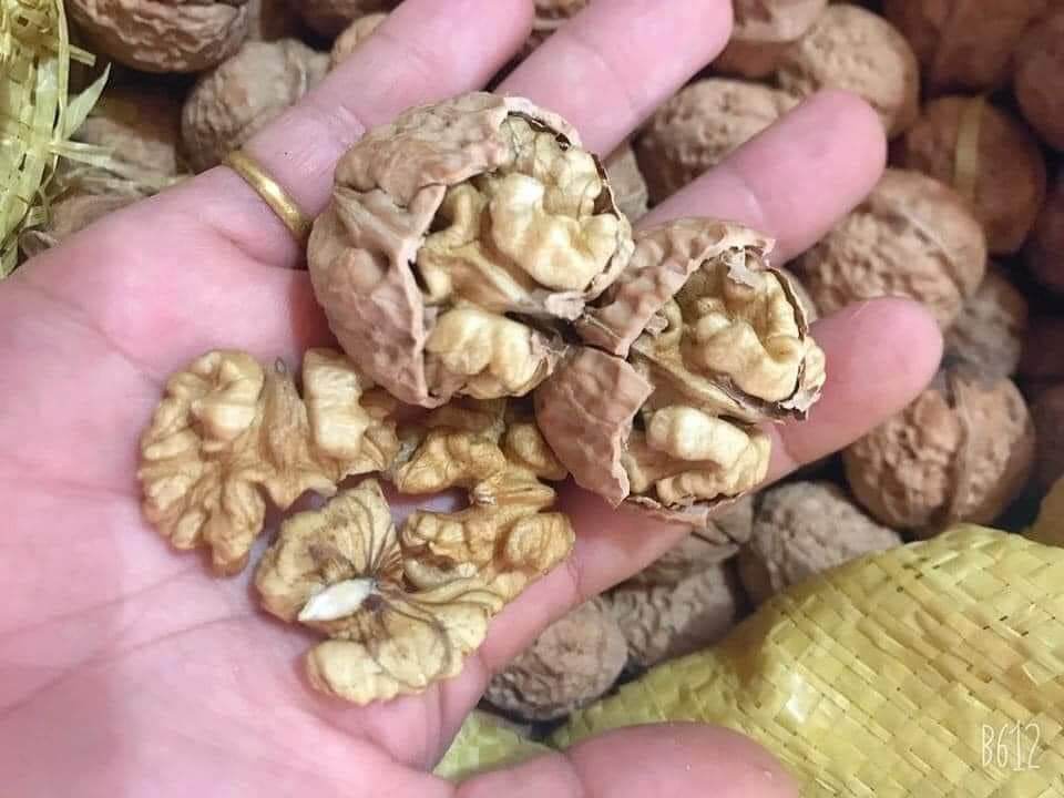 Quả óc chó nếp tây bắc 500gr ( loại vỏ mỏng )