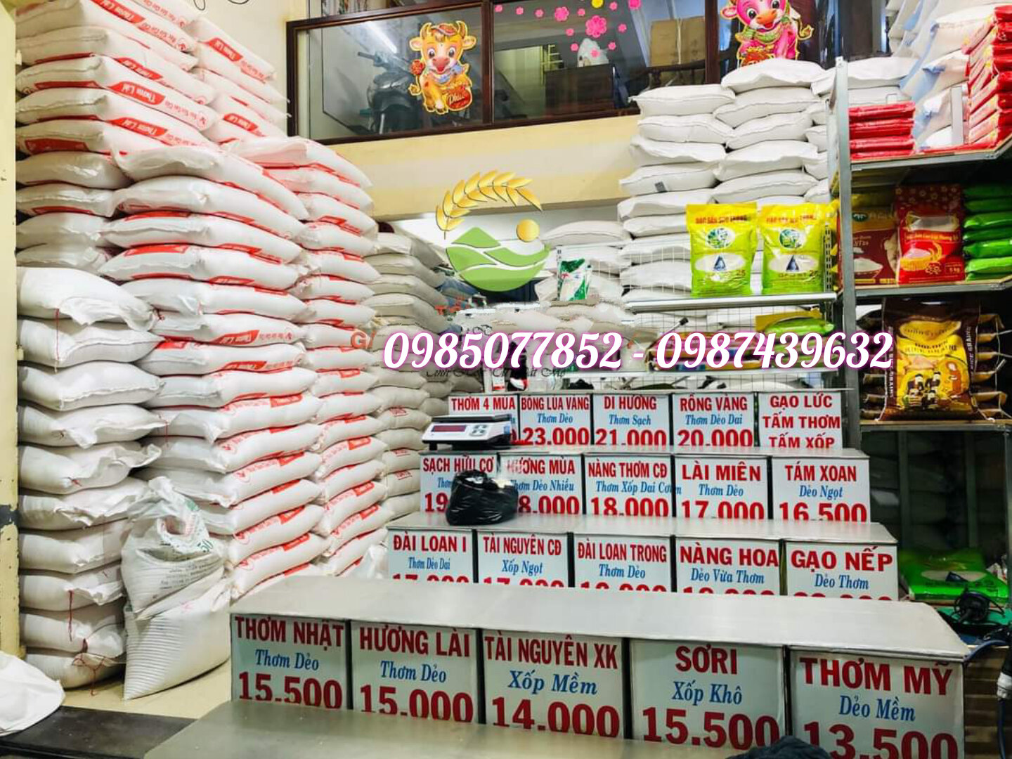 Gạo ST25 (Dẻo Nhiều ,Ngọt cơm ,Thơm nhiều).Bao 5kg