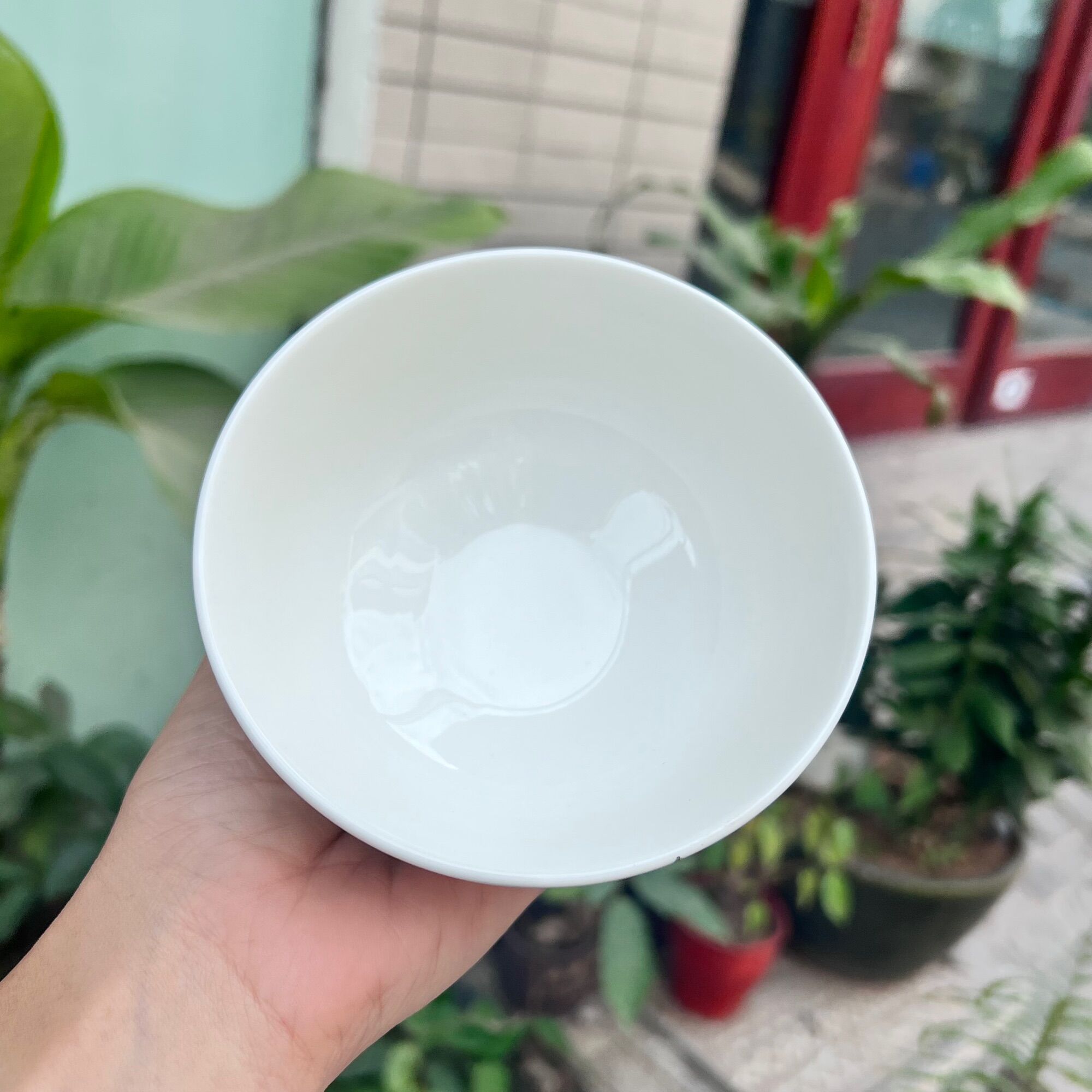 Hộp 2 cái chén sứ hoa văn