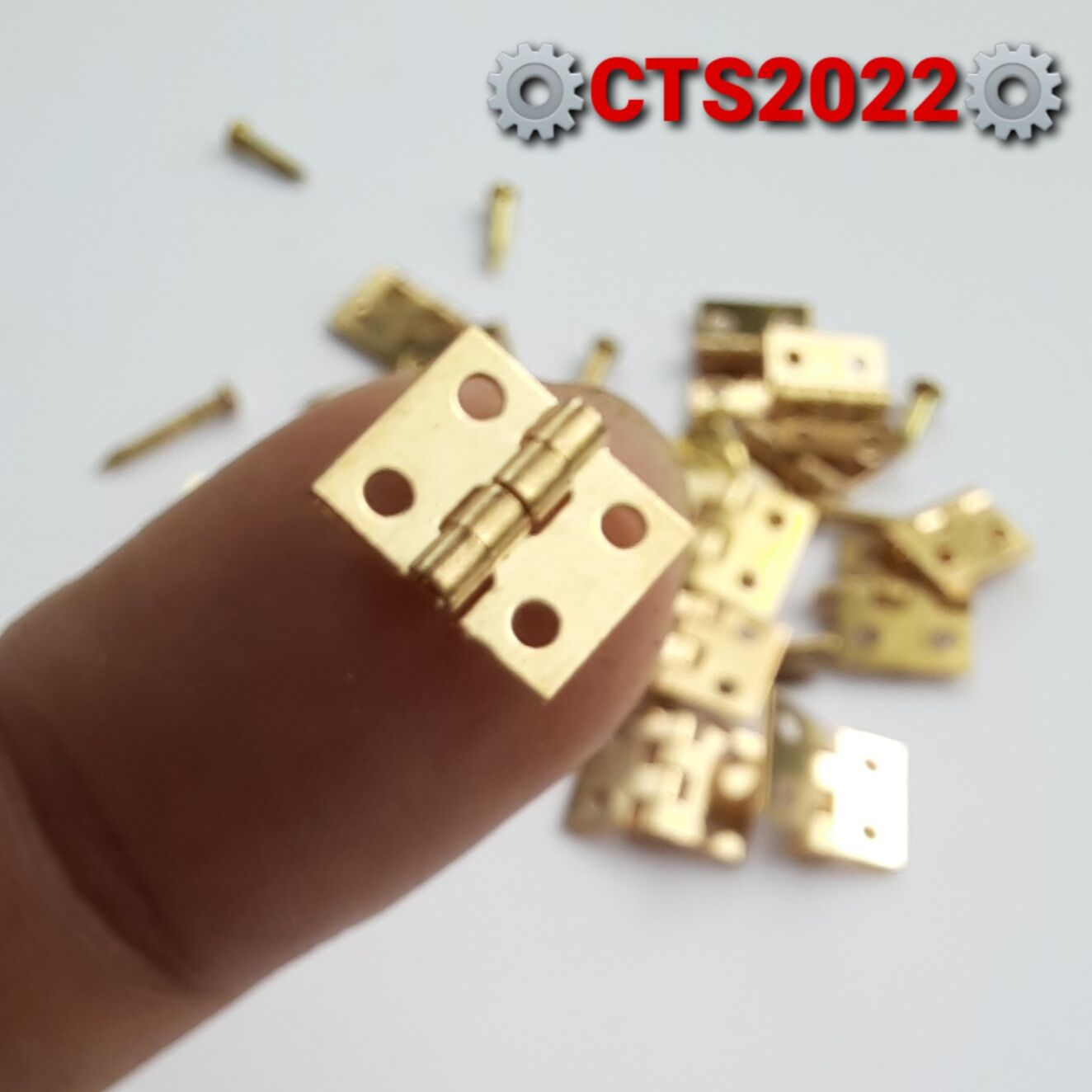 Bản lề mini 10x8mm kèm đinh