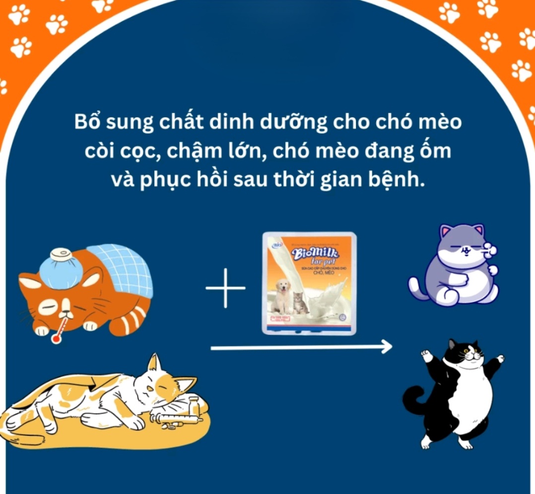 [HCM]Sữa bột chó mèo Bio-milk for pet